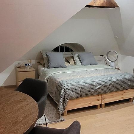 Studio 50M2 Au Bord De L'Eau A Strasbourg Luaran gambar