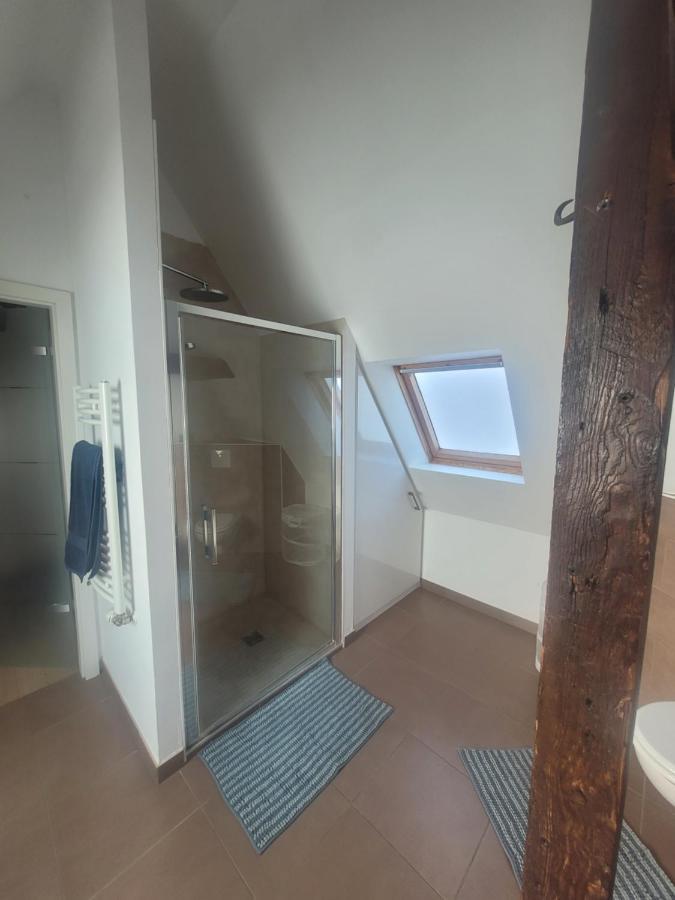 Studio 50M2 Au Bord De L'Eau A Strasbourg Luaran gambar