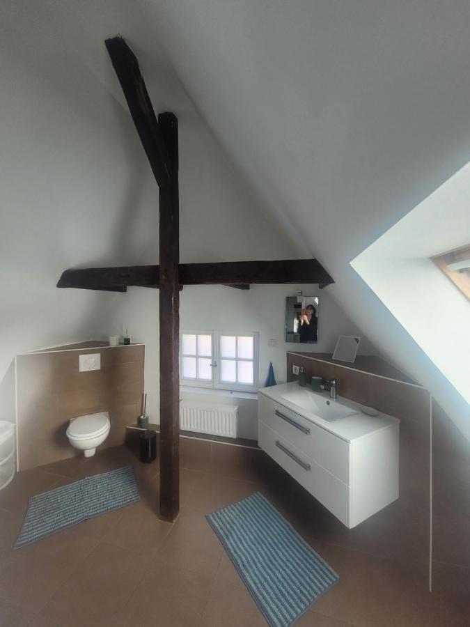 Studio 50M2 Au Bord De L'Eau A Strasbourg Luaran gambar
