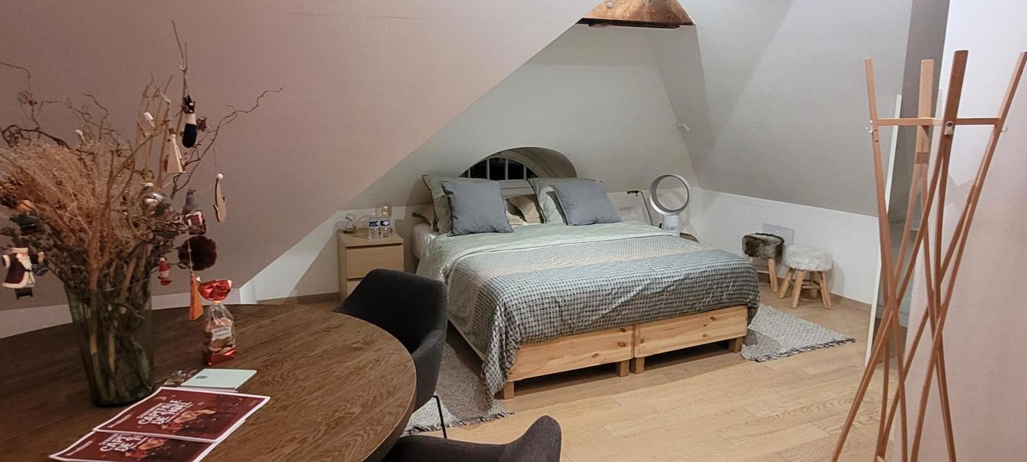 Studio 50M2 Au Bord De L'Eau A Strasbourg Luaran gambar